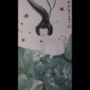 Immerse with lotus