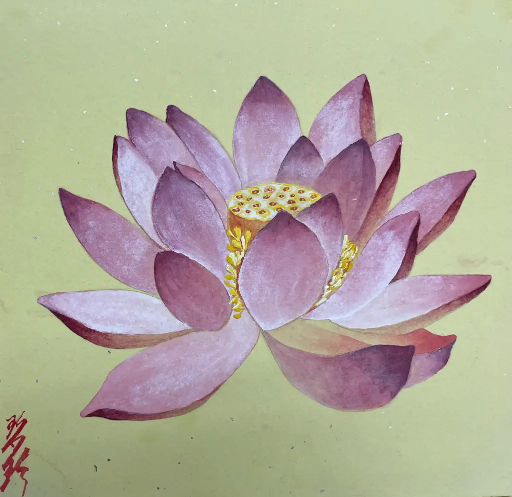 Lotus 